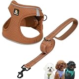 BELLA & PAL ステップインベストハーネス 小中型犬用 引っ張りなし 小型犬用ハーネス リーシュセット付き 快適なエアメッシュ 犬用ベストハーネス 反射ストリップ付き (Mokka, L)