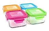 Wean Green Garden Pack Lunch Cubes Glass Food Containers by Wean Green