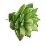 Homyl 人工多肉植物　人工観葉植物　花輪作り　ウェディングブーケなどに