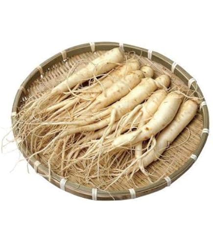 Amazon.co.jp: 韓国産高麗生人参 100g 8～12本 : 食品・飲料・お酒