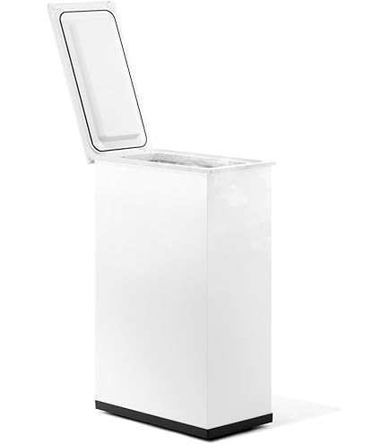 Amazon｜サンカ 【冷やすゴミ箱】CLEAN BOX 20L ふた付き シルバー