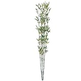 笹草90cm　6本組