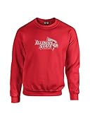 NCAAマスコットFoilクルーネックスウェットシャツ 3L レッド