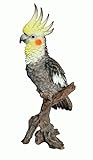 W-434　オカメインコ　サイズ　15.5ｘ15.5ｘ38.5Ｈ【ガーデンインテリア】
