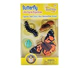 Life Cycle Stages-Butterfly (並行輸入品)