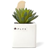 オカ PLYS プリスグリーン 小鳥のスティックフューザー付き フェイクグリーン リード