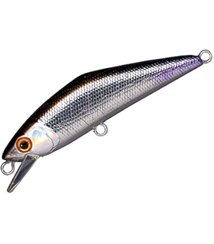 Amazon.co.jp: スミス(SMITH LTD) ミノー D-コンタクト 72mm 9.5