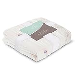 aden + anaisレーヨンからBamboo Dream Blanket パープル 暂无