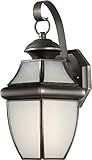 Forte Lighting 10019-01-14 Exterior Wall Light with Frosted Seeded Glass Shades, Royal Bronze [並行輸入品