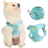 KUVEELA PET ペット用ハーネス＆リードセット 犬 ハーネス 犬のリード ドッグウエア 胴輪 調節可能 お散歩 お外出 着脱簡単 小型犬 中型犬 大型犬（ライトブルー S）