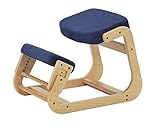 koeki 姿勢補助デスクチェア SLED(スレッド)チェア ブルー色 SLED-1(BL)
