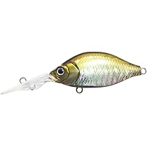 Amazon.co.jp: イッセイ(Issei) G.C.カネヒラシャッド 46MR-SP