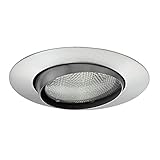 Juno Lighting 529-SC 5-Inch Downlight Adjustable Eyeball with Satin Chrome Trim [並行輸入品]