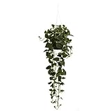 Nearly Natural 4762 Philodendron Hanging Basket Decorative Silk Plant, Green by Nearly Natural