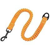 J&C Paradise 延長リード ジョイントリード 日本正規店 犬用リード 小型犬 中型犬 バンジーロープ 軽量 耐久性 伸縮性 弾力性 負担軽減 人気 TRUELOVE (グレー, L)