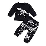 Aliciga ベビー 子供服 混合綿 長袖 Ｔシャツ ロングパンツ ボーイズ ボトムシャツ ドラゴン トップス + ロングズボン 上下 2点 セット 恐竜 動物プリント 可愛い 女の子 男の子 受験