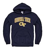 Georgia Tech Yellowjackets大人用アーチとロゴフード付きスエットシャツ – 海軍 L
