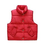 (プタス)Putars ベビー服 子供服 コート ダウンジャケット ベスト 冬服 男の子 女の子 四色 可愛い 秋 冬 スポーツ 運動会 旅行 記念日 プレゼント 18ヶ月-5歳