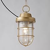 タカショー HBF-D19X マリンライト ローボルト ペンダントタイプ シャインゴールド（電球色） Φ132×H272