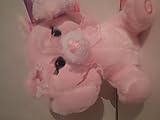 PLAY RIGHT ANIMATED PEEK A BOO ANIMAL," Cat" [並行輸入品]