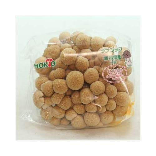 ホクト ブナシメジ 長野県産