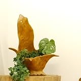 MANJA WOO-0278-C リゾートオブジェ チーク 原木 根っこオブジェ フラワーベース 1点もの (C) 【 アジアン家具 フラワーデコレーション ディスプレイ エスニック アジアンテイスト