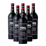 [6本まとめ買い] ナーリー・ヘッド 1924 ダブル・ブラック (Gnarly Head 1924 Double Black) 2020年 デリカート・ファミリー・ヴィンヤーズ アメリカ カリフォルニア 赤ワイン フルボディ ジンファンデル 750ml