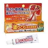 【第3類医薬品】新ノイガンエス 25g ×5