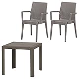【3点セット】ステラ テーブル 80角 グレー 12287＋ステラ チェアー (肘付) グレー 12286×2脚 プラスチック製 不二貿易