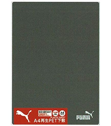 Amazon.co.jp: ショウワノート 下敷き ポケットモンスター B5