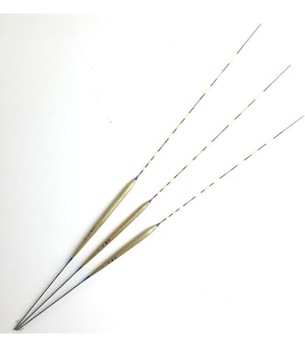 Amazon | へら浮き へら電気ウキ NARA 超絶BC 限定品ボディセット