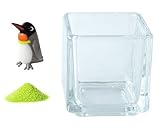 花市場直送便 ミニチュアガラス キングペンギン & カラーサンド ライトグリーン & 植え込み用グラス ニューブロックS