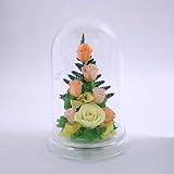 アートフォーシーズン　ＰＲ　プリザーブドフラワー　 (イエロー)