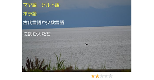 マヤ語 ケルト語 ボラ語 古代言語や少数言語に挑む人 たち 片木 啓 言語学 Kindleストア Amazon