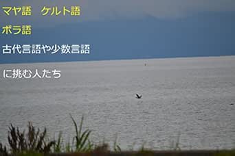 マヤ語 ケルト語 ボラ語 古代言語や少数言語に挑む人 たち 片木 啓 言語学 Kindleストア Amazon