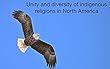 Unity and diversity of indigenous religions in North America (English Edition)