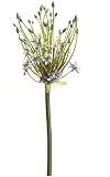 クラブパック12の人工Spider Allium Stems withブルーBlooms 31インチ