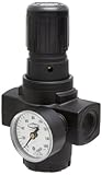Dixon R17-600RG Norgren Series Regulator with Gauge, 1 Size, 440 SCFM, 3/4 Port Size, 5-125 PSI by D