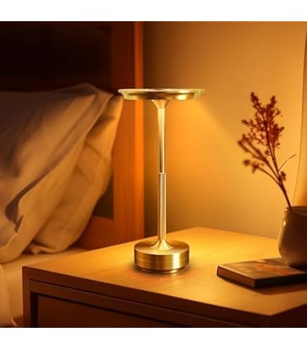 Amazon.co.jp: 「美術館向けの照明を応用したポータブルライト