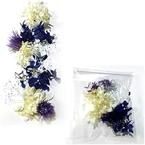 Amazon｜ハーバリウム花材セット ブルー｜プリザーブドフラワー