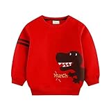 Burning Go 子供服 ベビー服 パーカー スウェット 恐竜図案 セーター キッズ コットン 秋冬服