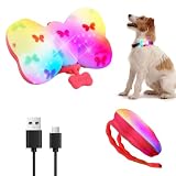 [LaRoo] 犬猫用 お散歩ライト【LED増量 Type-C充電式】夜間 散歩用 犬の安全のために 首輪ライト 防水 超軽量12g、小型犬にも負担なし カラフルライト超小型犬～中型犬専用ペット用品（レッド）