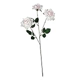 アンフェロローズスプレー FXFR0025L/P