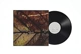 4th Album「gene」(LP) - Pay money To my Pain [Analog]