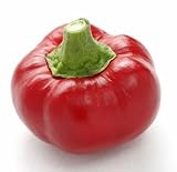 Chili Topepo Rosso - Sweet Pepper - 10 seeds
