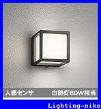 オーデリック　エクステリアライト 【OG 254 611】【OG254611】