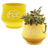 スリーキューブ 植木鉢、テラコッタ 暮らし良い品 テラコッタ 植木鉢 ラウンドカーブポット S お買い得 59891 イエロー 奥行9×高さ10×幅10cm 2個セット