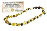 Baltic Amber Teething Necklace for Babies (Unisex) (Honey Multi Cherry Black Red Milk White Butter Y