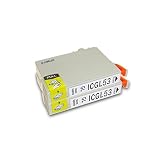 【SEASKY】 ICGL53 グロスオプティマイザ 染料 2個セット エプソンプリンター用 互換インク ISO9001認証工場 (IC53 IC8CL53)