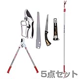 大進(ダイシン) 高枝切りバサミ 5点セット 高枝切りバサミ/鋸刃/太枝切りバサミ/剪定バサミ/手鋸
